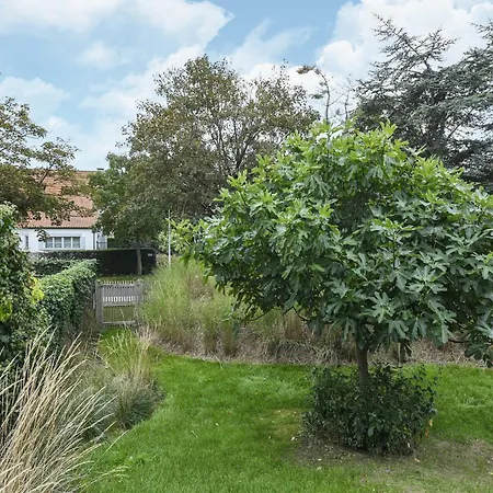 Near Sandy * ניופורט