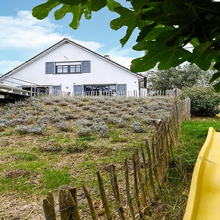 Near Sandy * Nieuwpoort